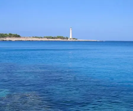 Mulino *